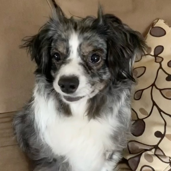 Meet your Posher, Julia Cyndi - Picture 6 of 7